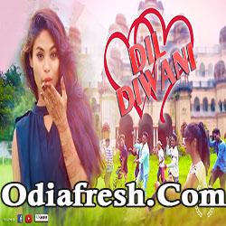 Dil Diwani -  New Sambalpuri Song (Dusmanta Suna)